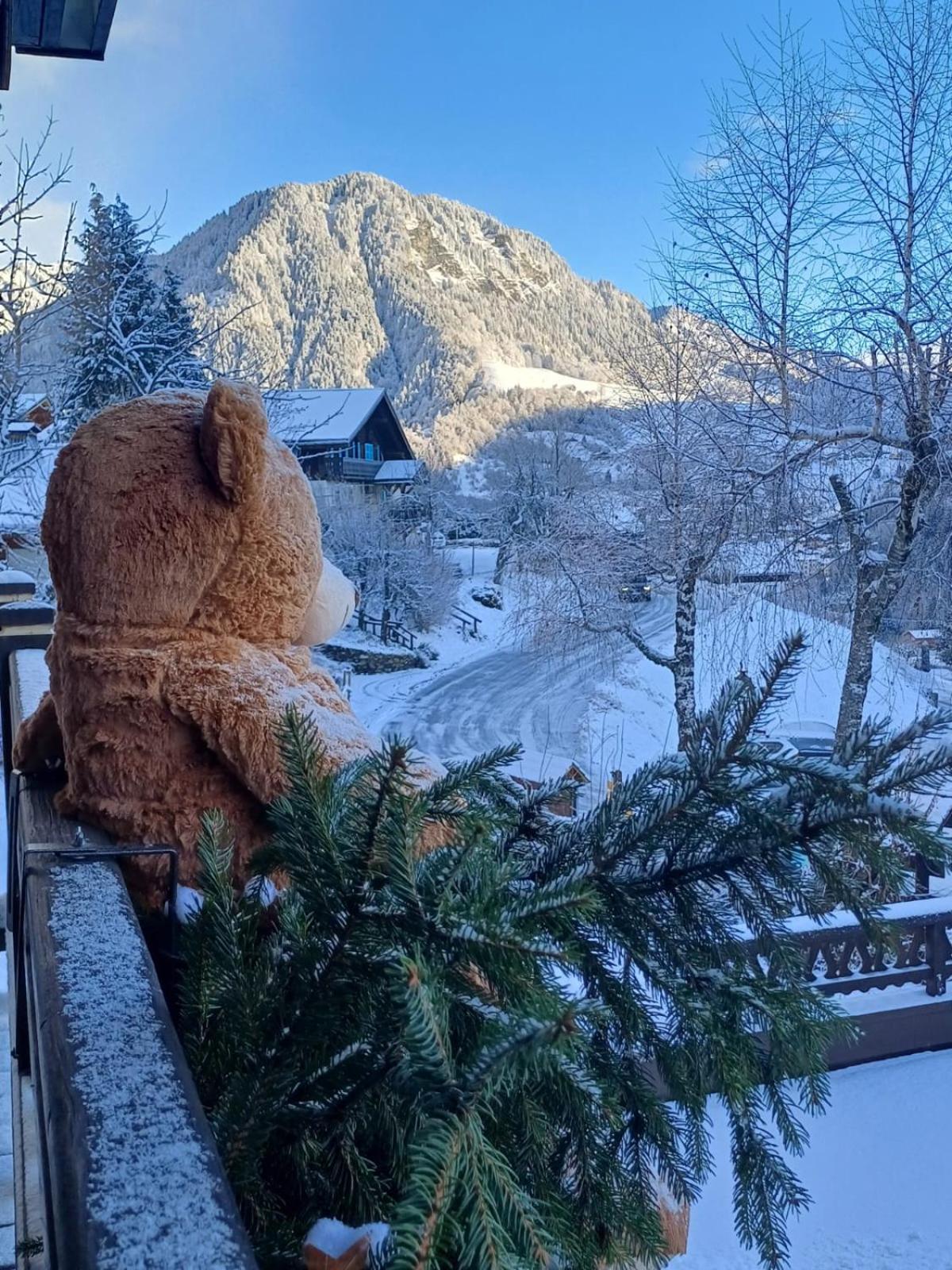 Chalet Appart'Hotel L'Eau Vive Saint-Nicolas-la-Chapelle  외부 사진